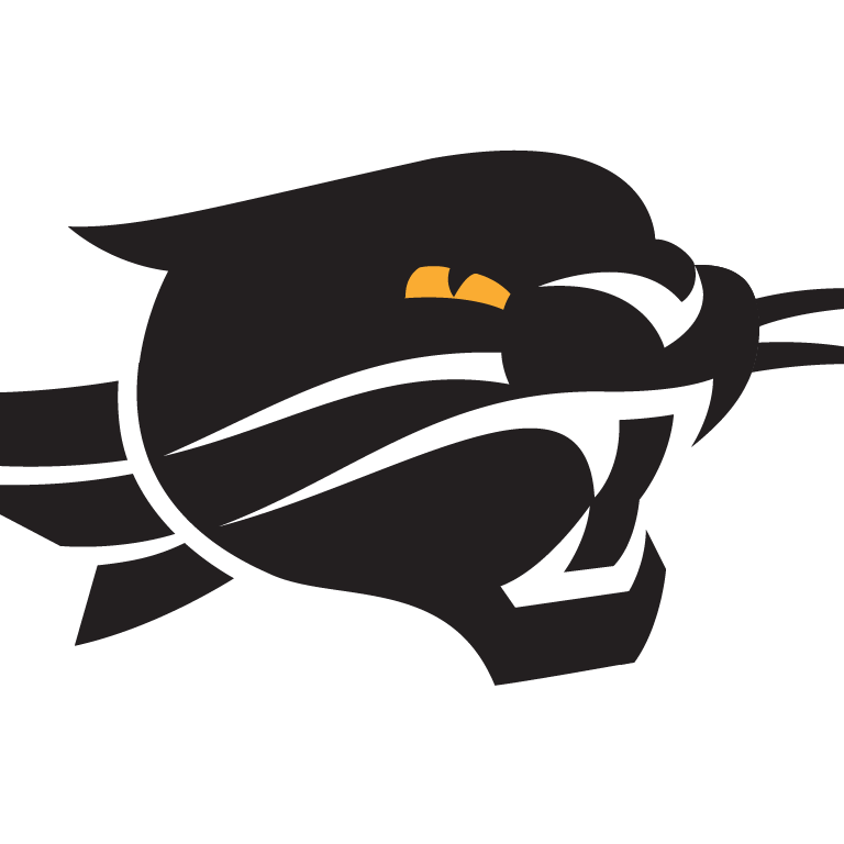 Perth Wildcats logo